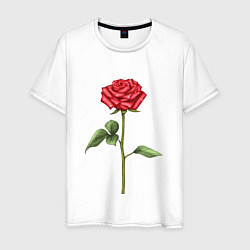 Мужская футболка Роза красная