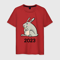 Мужская футболка Большой кролик 2023