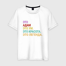 Мужская футболка Адам это ум, красота и легенда