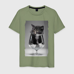 Мужская футболка Котёнок в бокале