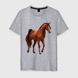 Мужская футболка Тракененская лошадь
