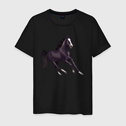 Мужская футболка Марварская лошадь