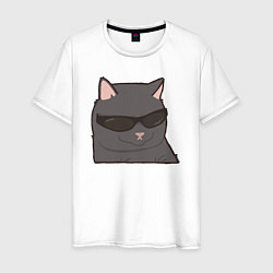 Мужская футболка Серый котик в очках