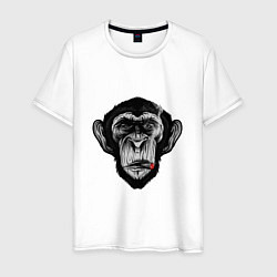 Мужская футболка Шимпанзе с сигарой