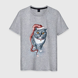 Мужская футболка Гном кот
