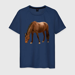 Мужская футболка Датская теплокровная лошадь