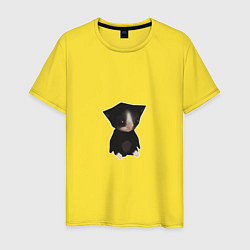 Мужская футболка Сидит котенок