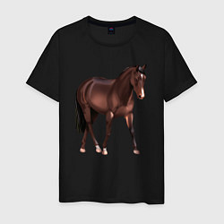 Футболка хлопковая мужская Австралийская пастушья лошадь, цвет: черный