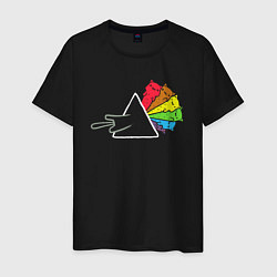 Мужская футболка Pink Floyd коты