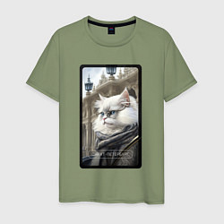 Мужская футболка Санкт-Петербург котик