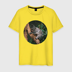 Мужская футболка Коала уснула