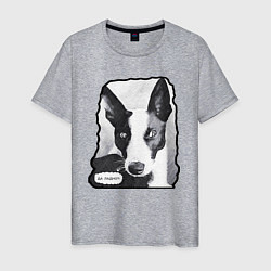 Мужская футболка Хитрый прехитрый пёс