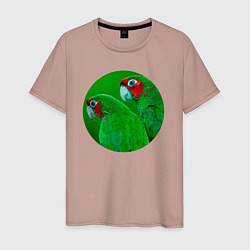 Мужская футболка Два зелёных попугая