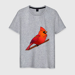 Мужская футболка Птица красный кардинал