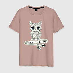 Мужская футболка Серебряная сова на кольце