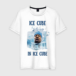 Мужская футболка Ice Cube in ice cube