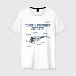 Мужская футболка Почему самолет летает?