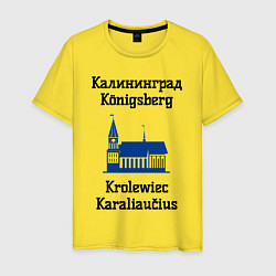 Мужская футболка Калининград