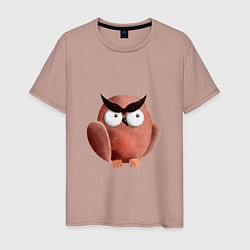 Мужская футболка Сердитая сова с круглыми глазами