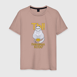 Мужская футболка Голодный кот требует еды