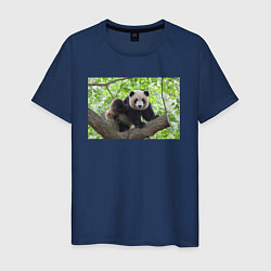 Мужская футболка Медведь панда на дереве
