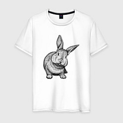Мужская футболка Кролик любопытный