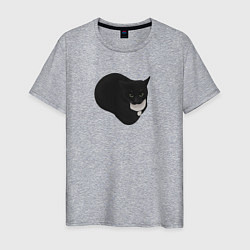 Мужская футболка Maxwell cat
