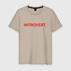 Мужская футболка Интроверт арт