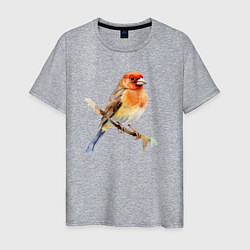 Мужская футболка Оранжевая птица на ветке