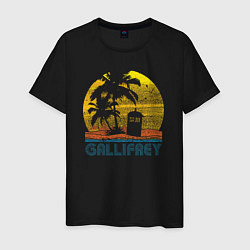Мужская футболка Gallifrey