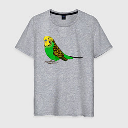 Мужская футболка Красивый попугайчик