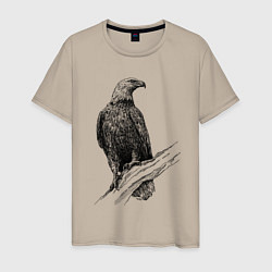 Мужская футболка Орёл на ветке