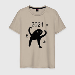 Мужская футболка 2024 - ъуъ мем