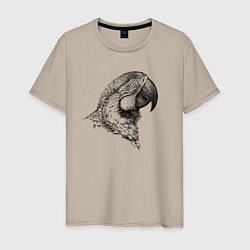 Мужская футболка Голова попугая ара