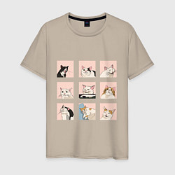 Мужская футболка Мемные коты