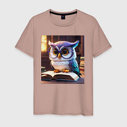 Мужская футболка Мультяшная мудрая сова