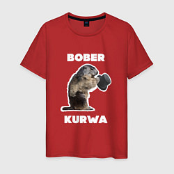 Мужская футболка Bobr kurwa with hat