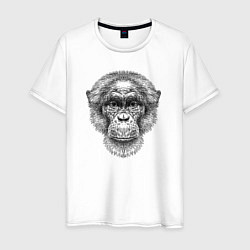 Мужская футболка Шимпанзе голова