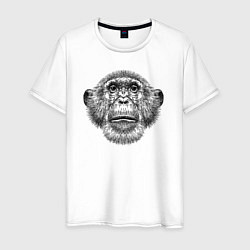 Мужская футболка Шимпанзе смотрит вверх