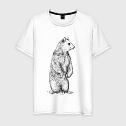Мужская футболка Медведь стоящий