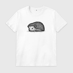 Мужская футболка Ежик притаился