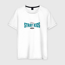 Мужская футболка Stray Kids legendary