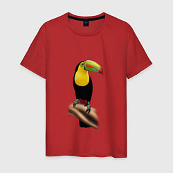 Мужская футболка Птица тукан