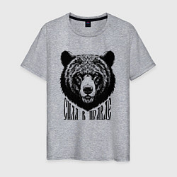 Мужская футболка Медведь русич - сила в правде