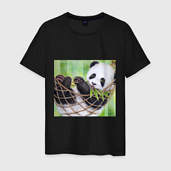 Мужская футболка Панда медвед