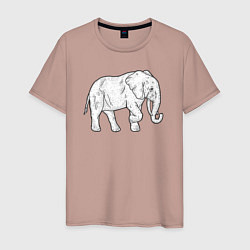 Мужская футболка Elephant