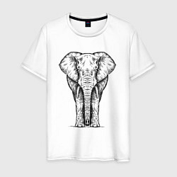 Мужская футболка Слон анфас