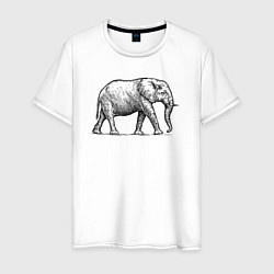 Футболка хлопковая мужская Слон гуляет, цвет: белый