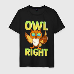 Футболка хлопковая мужская Owl right - каламбур отлично, цвет: черный