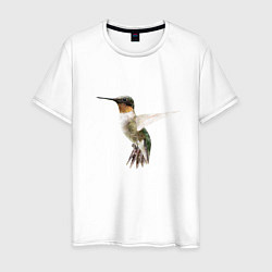Мужская футболка Рубиновогорлый колибри